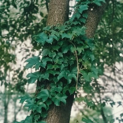 zouyan55さんのプロフィール画像