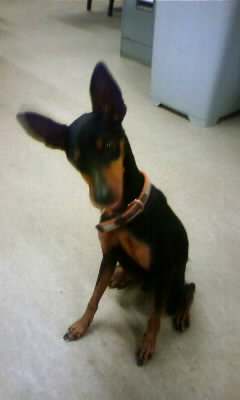 takagi76's profile picture. とっても久しぶりに浮上しました。みんな元気かしら？