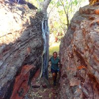 Finella Dawlings (@fdawlings) 's Twitter Profile