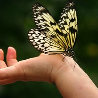 Resilience Alliance (@resalliance) 's Twitter Profile