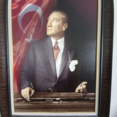 Halillm56063821's profile picture. 