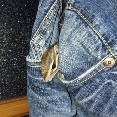 JNvs2Q7VL7SPlcU's profile picture. 