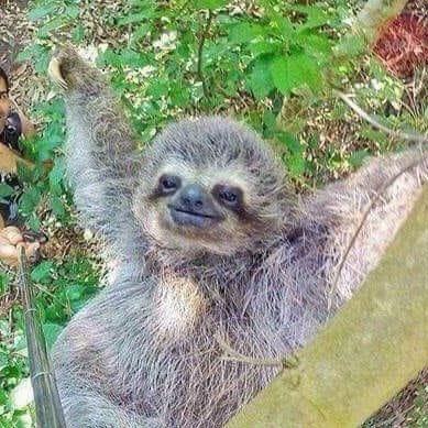 MorPramod's profile picture. blank