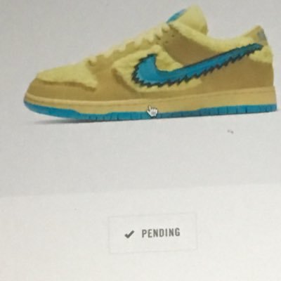 sneakerbot9's profile picture. I like sneakers but hate waiting in line.