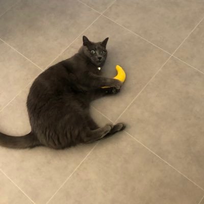 Eddhoward73's profile picture. Cheese lover.....