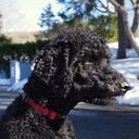 Kara Strickland - @karareid - Twitter