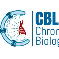 Chromosome Biology Lab (@cbl_iiser_pune) 's Twitter Profile