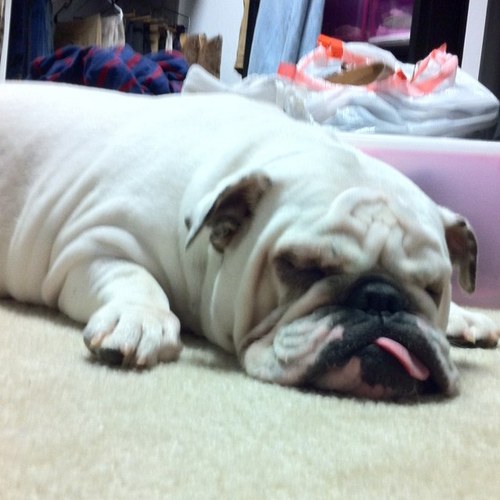 peazy1120's profile picture. 