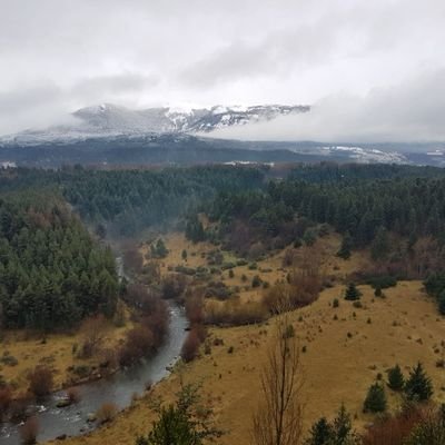 carrion_tapia's profile picture. Comprometida