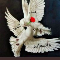 صابر علي (@agmqsyssxibtidc) 's Twitter Profile