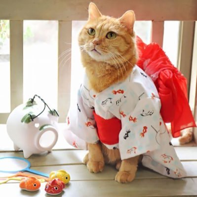 Ambassa60948019's profile picture. 