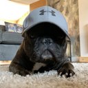 aiden - @Aiden_Porter16 - Twitter