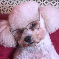 Mike Heffernan (@mikejheffernan) 's Twitter Profile