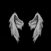 Alpitor (@alpbg2) 's Twitter Profile