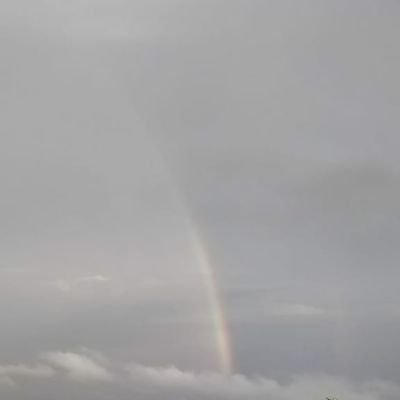 SupriyaKuku's profile picture. 