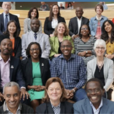 African and Western editors working together to improve the discoverability and quality of health research in African medical journals.