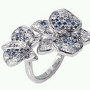 Ginger Ambrose, AJP - @gingeratcartier - Twitter