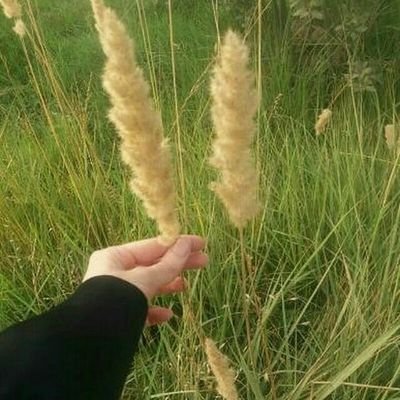 دوستداشتنت هیچ وقت کم نمیشود...
مخاطب قلبم👈خدا