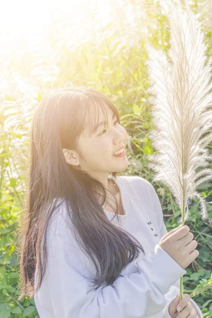 fan nhóm nhạc no1 BB top 100👌❤️