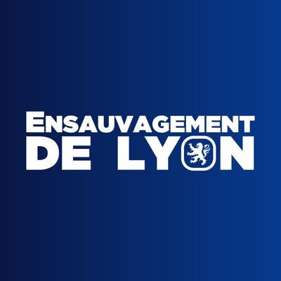 Revue de presse sur l’ensauvagement de #Lyon et de ses alentours • Pour une prise de conscience collective • #EnsauvagementDeLyon • https://t.co/3V3pnAk6hu