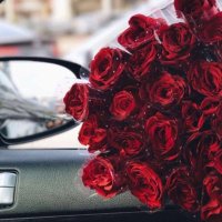 👅🌵🍑 (@hp59384858) 's Twitter Profile