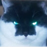 Cher Newcombe-White @ BopsBaubles (on Etsy) (@chereverywhere) 's Twitter Profile