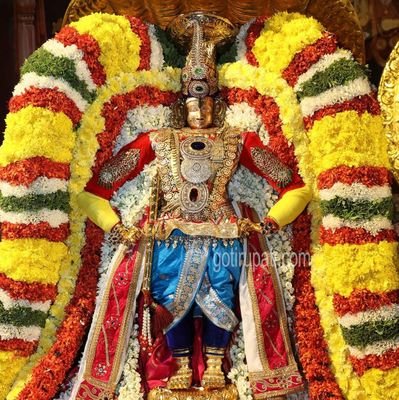 shyam2megha's profile picture. 