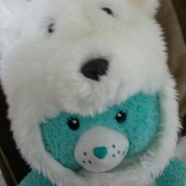 kaokamomo's profile picture. 呟きません