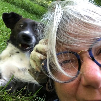 From NH now living in NC. Dogs rule especially my two.I vote Blue.