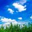 fukudato08's profile image