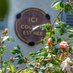 Maison de Colette (@maison_colette) Twitter profile photo Maison de Colette (@maison_colette) Twitter profile photo