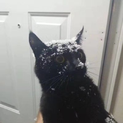 Hoshisora_You's profile picture. スカイ推し umsksk