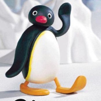 Pingu Pingu Twitter