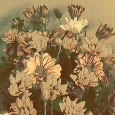 chyan_y's profile picture. たま〜にポチポチ呟いたりしています。 地上波の洋画劇場を見て育った世代なので洋画は字幕と吹替で二度楽しむ派。お芝居や海外ドラマや甘いものが好き