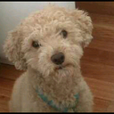 silvia solares - @ariekeira - Twitter