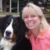 Tracy Clay (@tclay63) Twitter profile photo Tracy Clay (@tclay63) Twitter profile photo