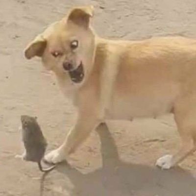 ketsakarnpang's profile picture. 