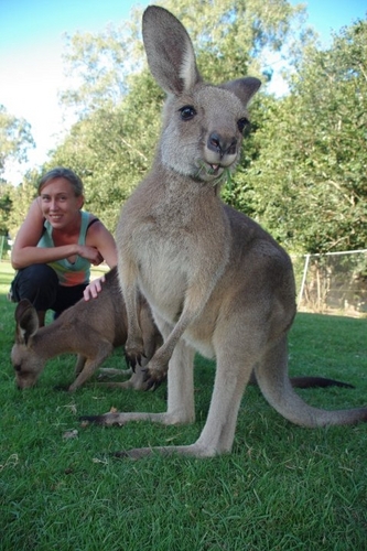 NaelleLeMoal's profile picture. Journaliste. Made in BZH, Guingamp précisément.