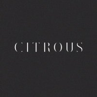 C I T R O U S (@studiocitrous) 's Twitter Profile