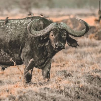 Sam83184648's profile picture. It’s a beautiful day to be alive 🦋 FITNESS | NEW BRANDING | GNC | HAPPINESS | 🌞 💦