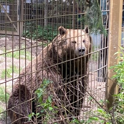 canadiantrails1's profile picture. I don’t need followers to voice my opinion. if you don’t like what I have to say, block me. If you think I’m being an asshat to you, that’s a reflection of you