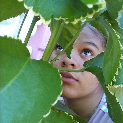 LopezSmailyn's profile picture. 