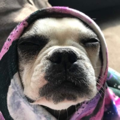 nothing bout good vibes or get the fuck up out my life
