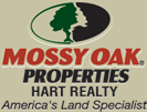 MOPHartRealty Profile Picture