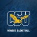 Coppin State Women's Basketball (@CoppinState_WBB) Twitter profile photo