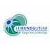 The Leibundgut lab (@lableibundgut) Twitter profile photo The Leibundgut lab (@lableibundgut) Twitter profile photo