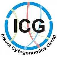 Insect Cytogenomics Group(@lab_icg) 's Twitter Profileg