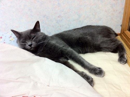 jjuha1's profile picture. 빵이 주식이되게 하소서...