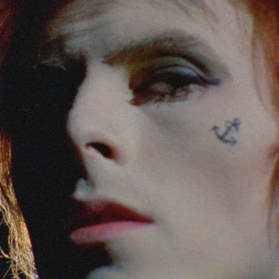 | INTP | david bowie: bisexual - do drugs - like cats