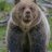 Chrismiller1957's profile image